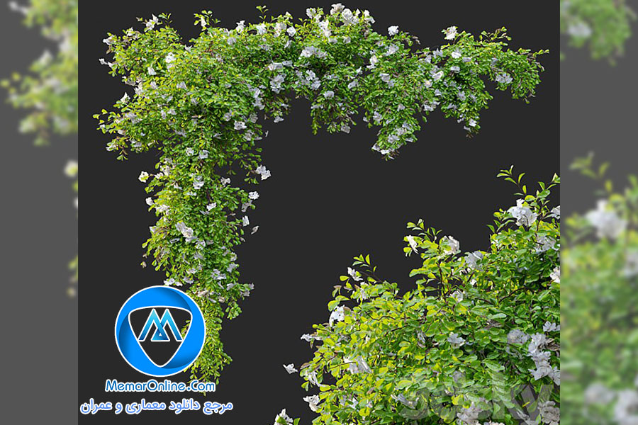 دانلود آبجکت گیاه مدل سازی شده مکس
