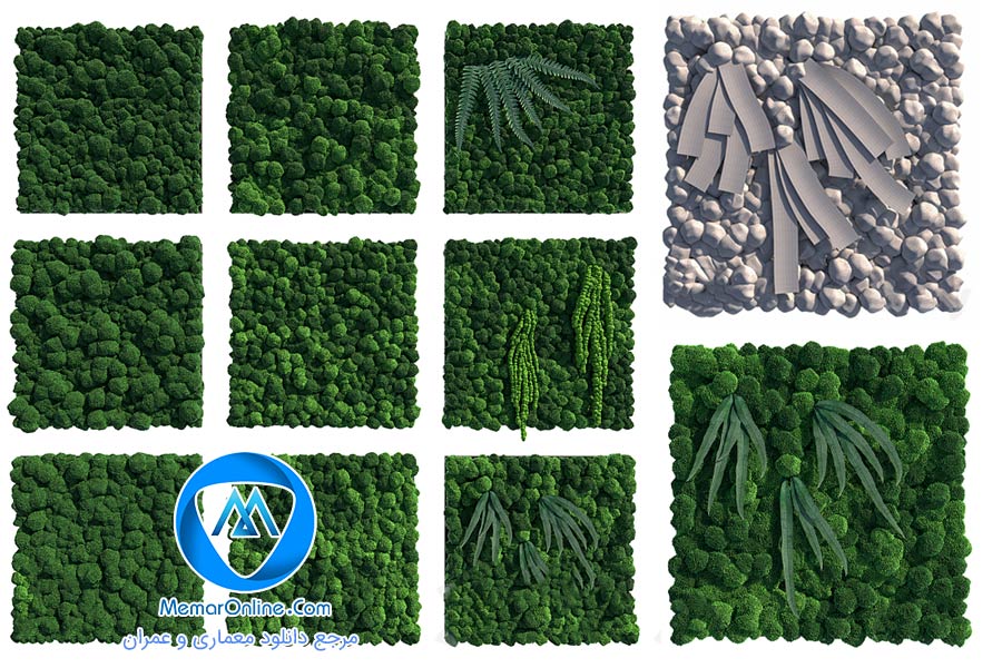 دانلود انواع مدل آبجکت سبزه و خزه تری دی مکس