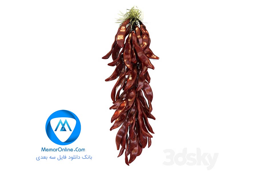 دانلود آبجکت تری دی فلفل تند برای تری دی مکس