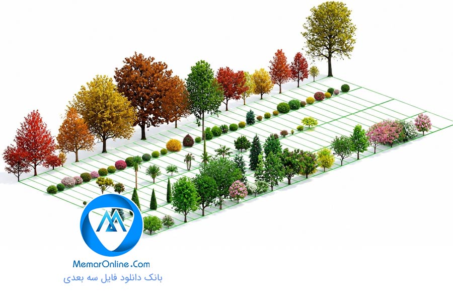 دانلود انواع مدل سه بعدی آماده به رندر آبجکت درخت برای رویت