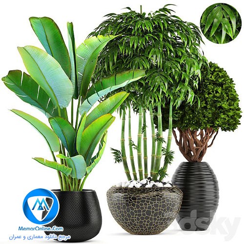 دانلود انواع مدل آبجکت گل و بنسای و گلدون برای تری دی مکس