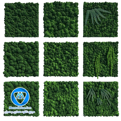 دانلود انواع مدل آبجکت سبزه و خزه تری دی مکس