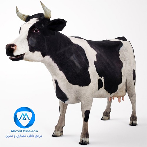 دانلود آبجکت تری دی مکس مدل سه بعدی گاو